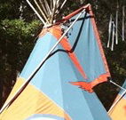 Central Coast Eco Tours - Accommodation Gladstone