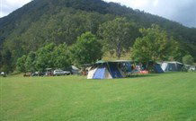 Knorrit Forest NSW Accommodation Gladstone