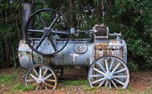 Dingo Forest NSW Accommodation Gladstone