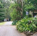 Tamborine Mountain Caravan  Camping - Accommodation Gladstone