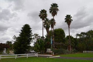 Westview Tourist Caravan Park - Accommodation Gladstone 8