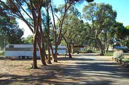 Wycheproof Caravan Park - Accommodation Gladstone 0