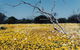Wooleen Station - thumb 0