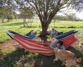 Childers Eco-lodge - Accommodation Gladstone 1