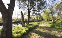 Fossickers Tourist Park - Accommodation Gladstone 5