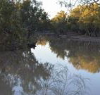 Four Mile Camping Reserve - Accommodation Gladstone