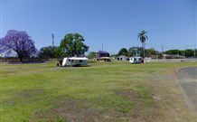 Grafton Showground Caravan Park - Accommodation Gladstone 0