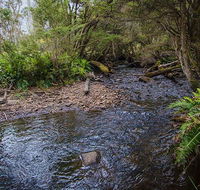 Horse Swamp campground - Accommodation Gladstone