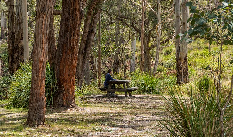 Acacia Creek ACT Accommodation Gladstone