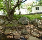 Mt Warning Rainforest Park - Accommodation Gladstone