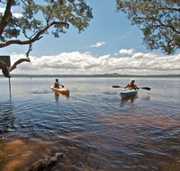 Mungo Brush campground - Accommodation Gladstone