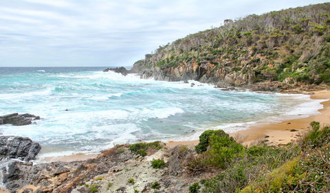 Picnic Point Campground - Accommodation Gladstone 1