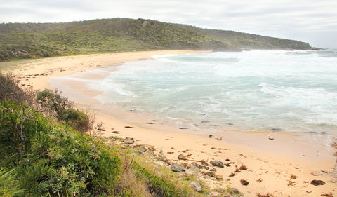 Picnic Point Campground - Accommodation Gladstone 2