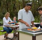 Port Stephens Treescape - Accommodation Gladstone