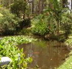 Tallowood Ridge B and B - Accommodation Gladstone