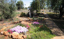 The Old School Caravan Park - Accommodation Gladstone 3