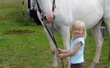 Three Waters High Country Holidays - Accommodation Gladstone 2