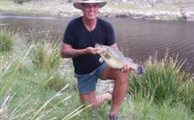 Three Waters High Country Holidays - Accommodation Gladstone 1