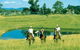 Wave Hill Station Farmstay Clarence River Gorge - Fine - thumb 3