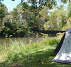 Williams River Holiday Park - Accommodation Gladstone