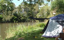 Williams River Holiday Park - Accommodation Gladstone 0
