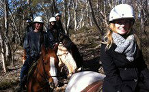 JE Resort (Jindabyne Equestrian Resort) - Accommodation Gladstone 1