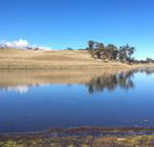 Bombala Maneroo Motel - Bombala - Accommodation Gladstone