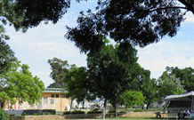 Dubbo City Holiday Park - Dubbo - Accommodation Gladstone 3