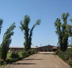 Newell Motor Inn - Narrandera - Accommodation Gladstone