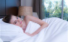 Remington Motor Inn - Muswellbrook - Accommodation Gladstone 0