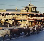 The Commercial Hotel Coonamble - Coonamble - Accommodation Gladstone