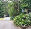 Tamborine Mountain Caravan  Camping - Accommodation Gladstone