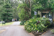 Tamborine Mountain Caravan & Camping - Accommodation Gladstone 0