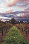 Millendon WA Accommodation Gladstone