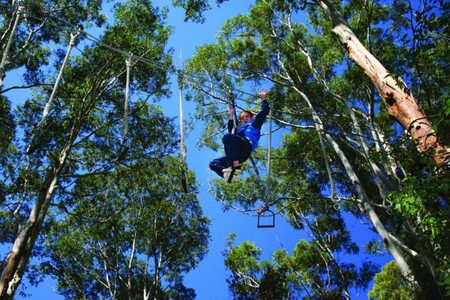Cedar Creek Lodges - Accommodation Gladstone 3
