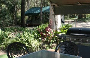 Tamborine Mountain Caravan & Camping - Accommodation Gladstone 2