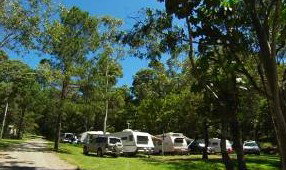 Tamborine Mountain Caravan & Camping - Accommodation Gladstone 3