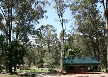 Tamborine Mountain Caravan & Camping - Accommodation Gladstone 4