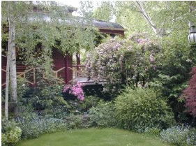 FINCHES OF BEECHWORTH - Accommodation Gladstone 1