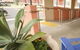 Best Western Forbes Victoria Inn - thumb 3