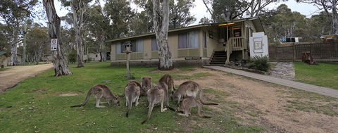 Kosciuszko Tourist Park - Accommodation Gladstone 5