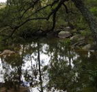 Hidden Valley Farm - Accommodation Gladstone