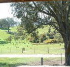 Hosanna Farm Retreat - Accommodation Gladstone