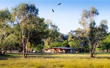 Starline Alpaca Farm Stay - Accommodation Gladstone 2