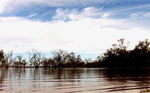 Stony Creek Farm B And B - Accommodation Gladstone 5