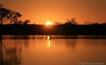 Stony Creek Farm B And B - Accommodation Gladstone 7