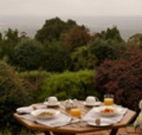Barefoot Springs Bed and Breakfast - Accommodation Gladstone