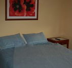 Busy Buzz - Accommodation Gladstone