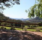 Cedar Grove - - Accommodation Gladstone