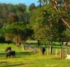 Giba Gunyah Country Cottages - Accommodation Gladstone